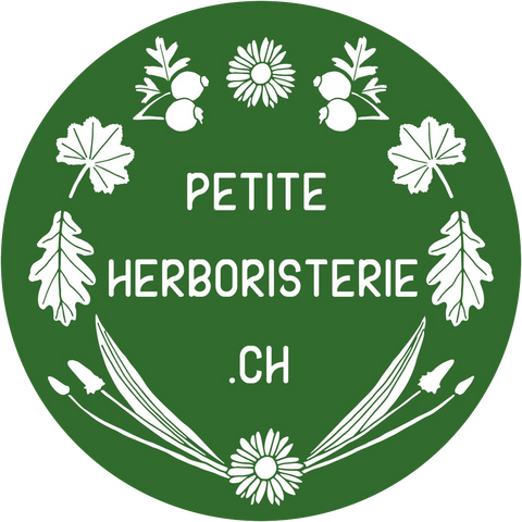 Logo Petite Herboristerie transparent V2 Logo Petite Herboristerie
